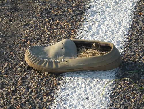 a. How did this shoe get in the road? Didn't someone miss it?  b. Why is it full of straw?