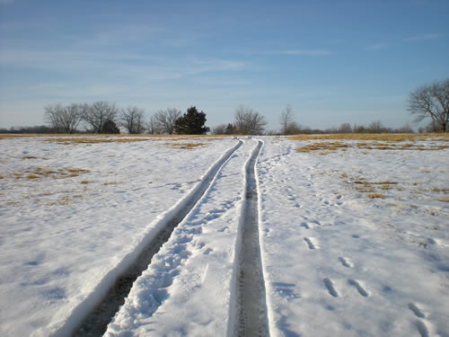 snowy field with car tracks